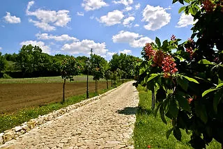 Hotel La Pampa Relais